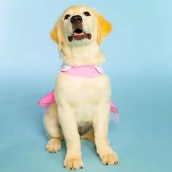 NWT ~Doggy Parton Pink Glittery Stars Collared Cowgirl Dress for Pets (Size: XS) - Picture 3 of 9